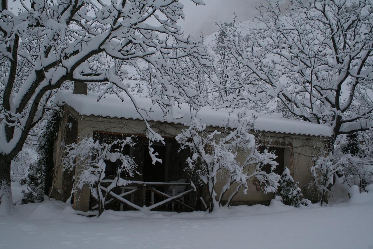 Casas Rurales Los Enebros แนร์ปิโอ ภายนอก รูปภาพ