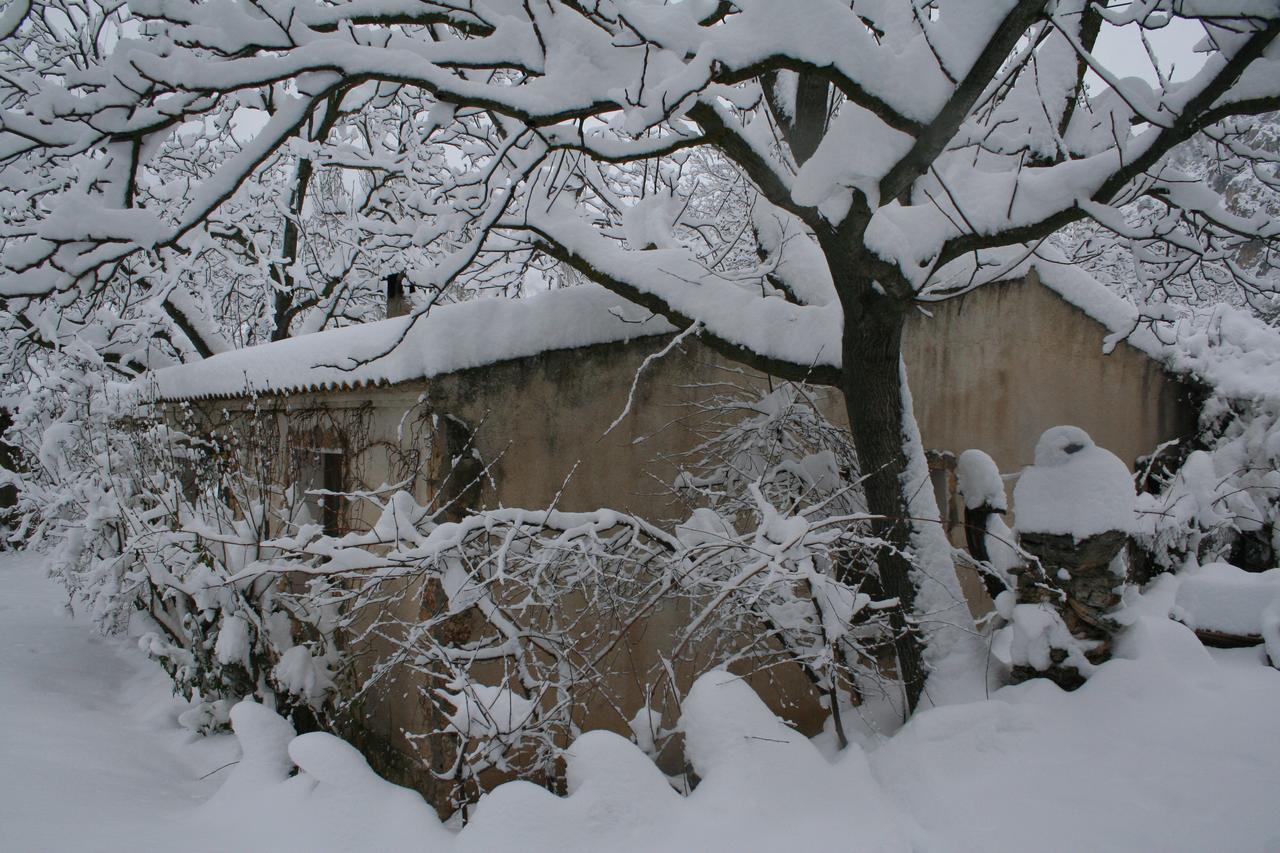 Casas Rurales Los Enebros แนร์ปิโอ ภายนอก รูปภาพ